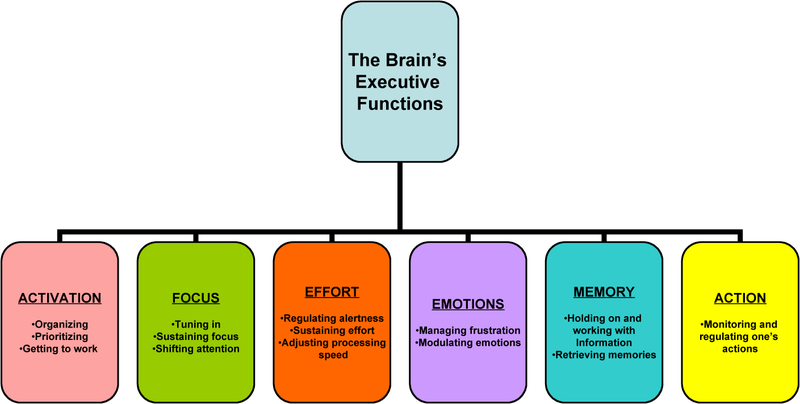 Image result for what is executive function in children